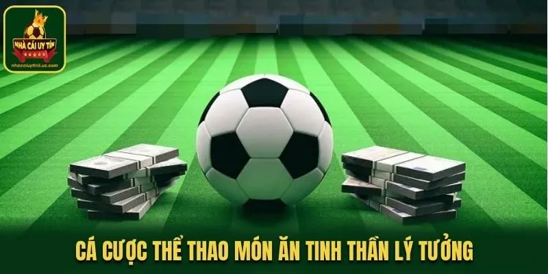Cá cược thể thao món ăn tinh thần lý tưởng
