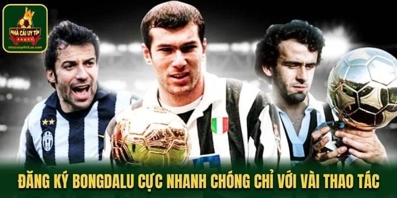 Đăng Ký Bongdalu Cực Nhanh Chóng Chỉ Với Vài Thao Tác