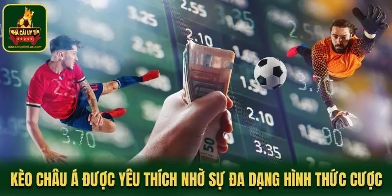 Kèo châu Á được yêu thích nhờ sự đa dạng về hình thức cược