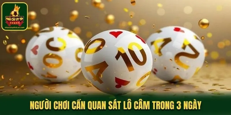 Người chơi cần quan sát lô câm trong 3 ngày