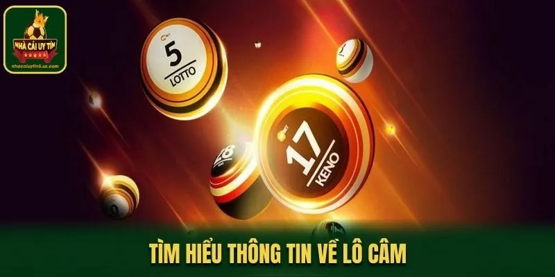Tìm hiểu thông tin về lô câm